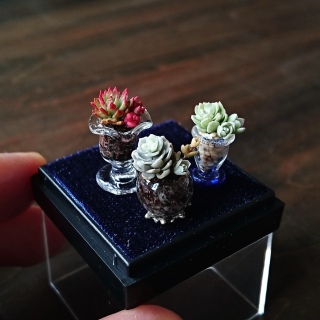 ★イベント販売用作品(多肉植物)続き