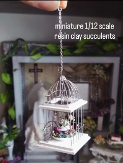 ���o�[�h�P�[�W��