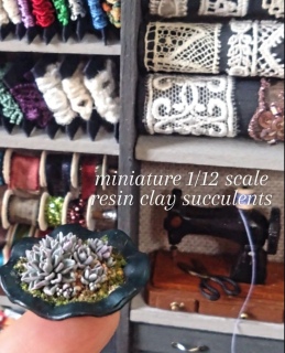 ���񂹐A��