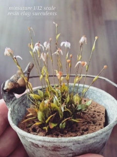 ���ߋ���i